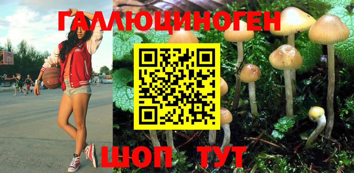Северск  Галлюциногенные грибы MAGIC MUSHROOMS  Вход с VPN 