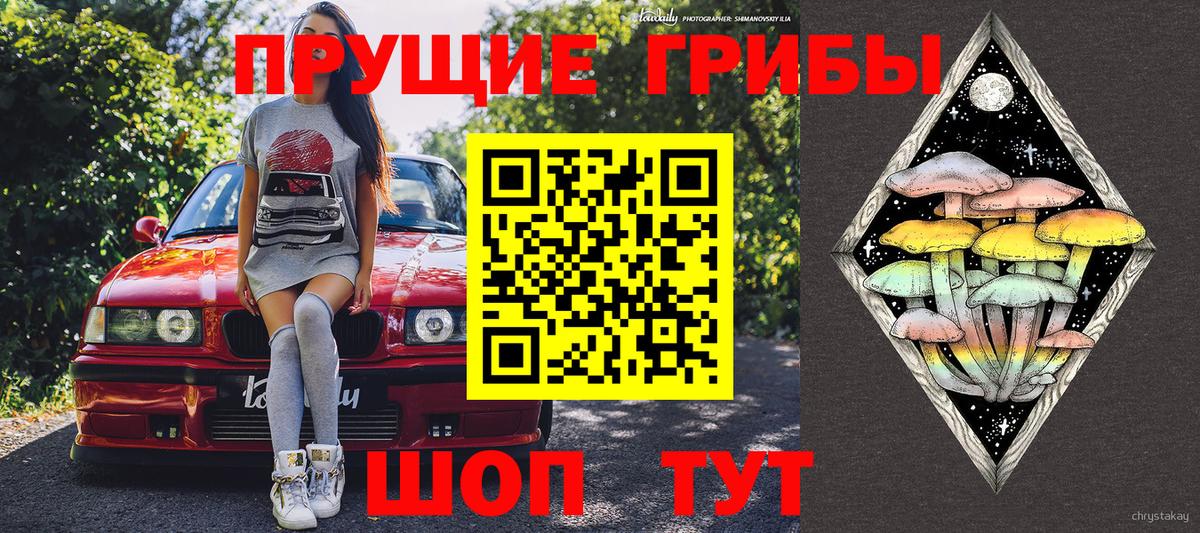 Галлюциногенные грибы ЛСД Северск